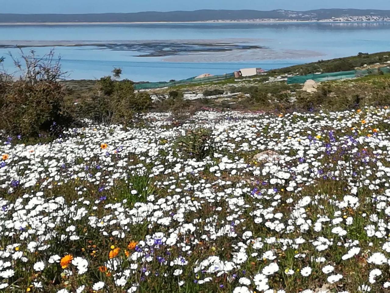 Perfect 10 - 10 To 13 Sleeper Luxury Holiday Home Breakage Deposit Of R2500 Per Weekend Lease Langebaan Buitenkant foto