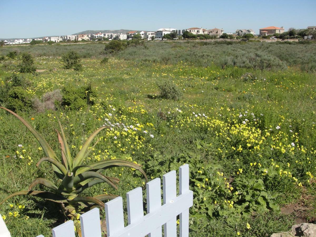 Perfect 10 - 10 To 13 Sleeper Luxury Holiday Home Breakage Deposit Of R2500 Per Weekend Lease Langebaan Buitenkant foto